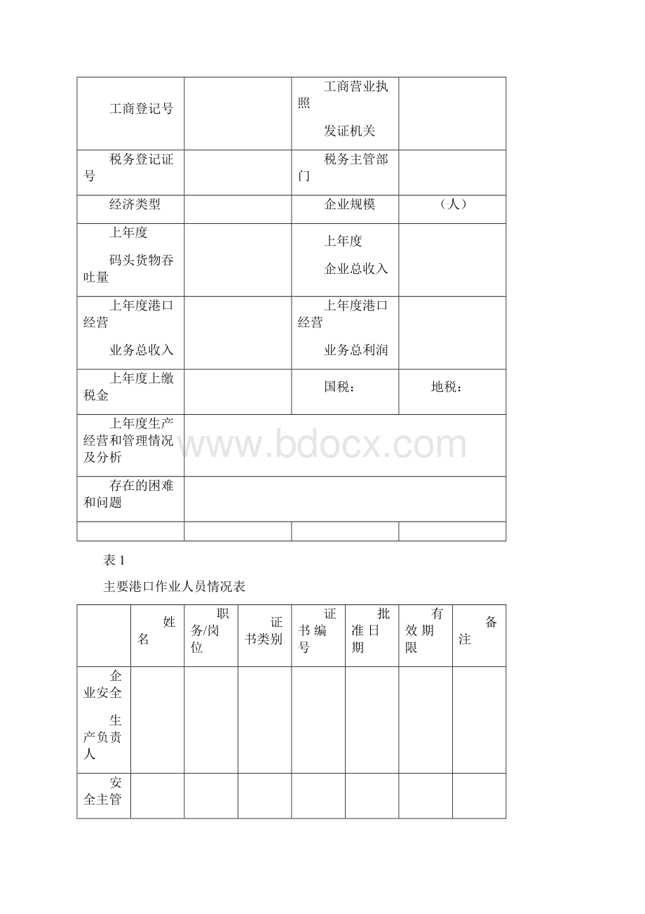 04港口经营人年度核查报告书.docx_第2页