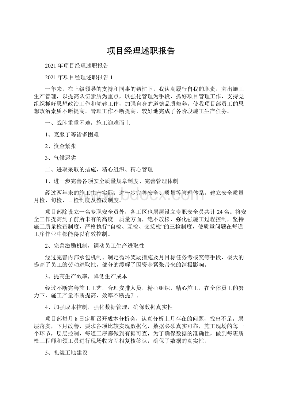 项目经理述职报告.docx_第1页