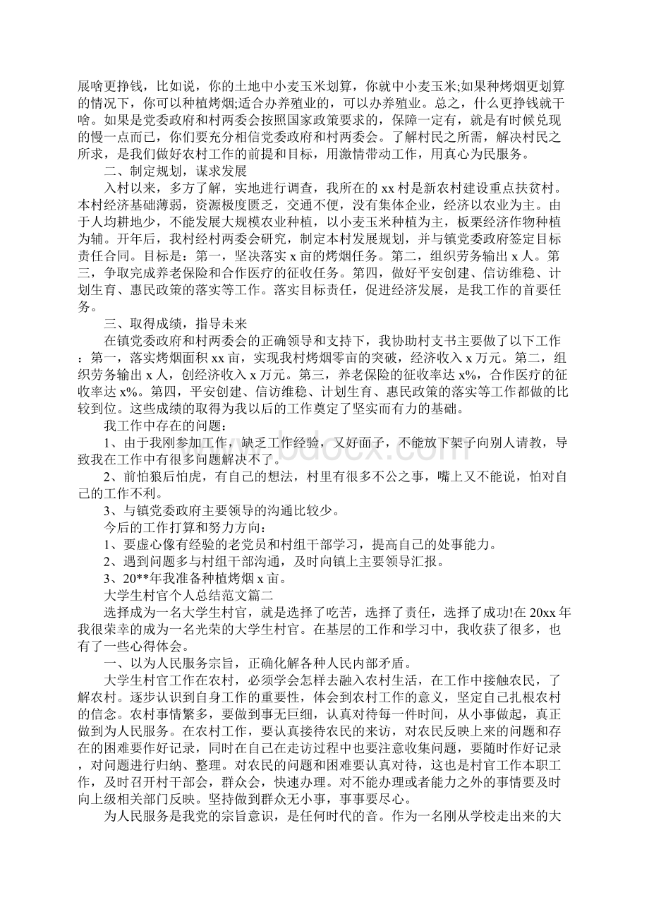 大学生村官个人总结范文.docx_第2页