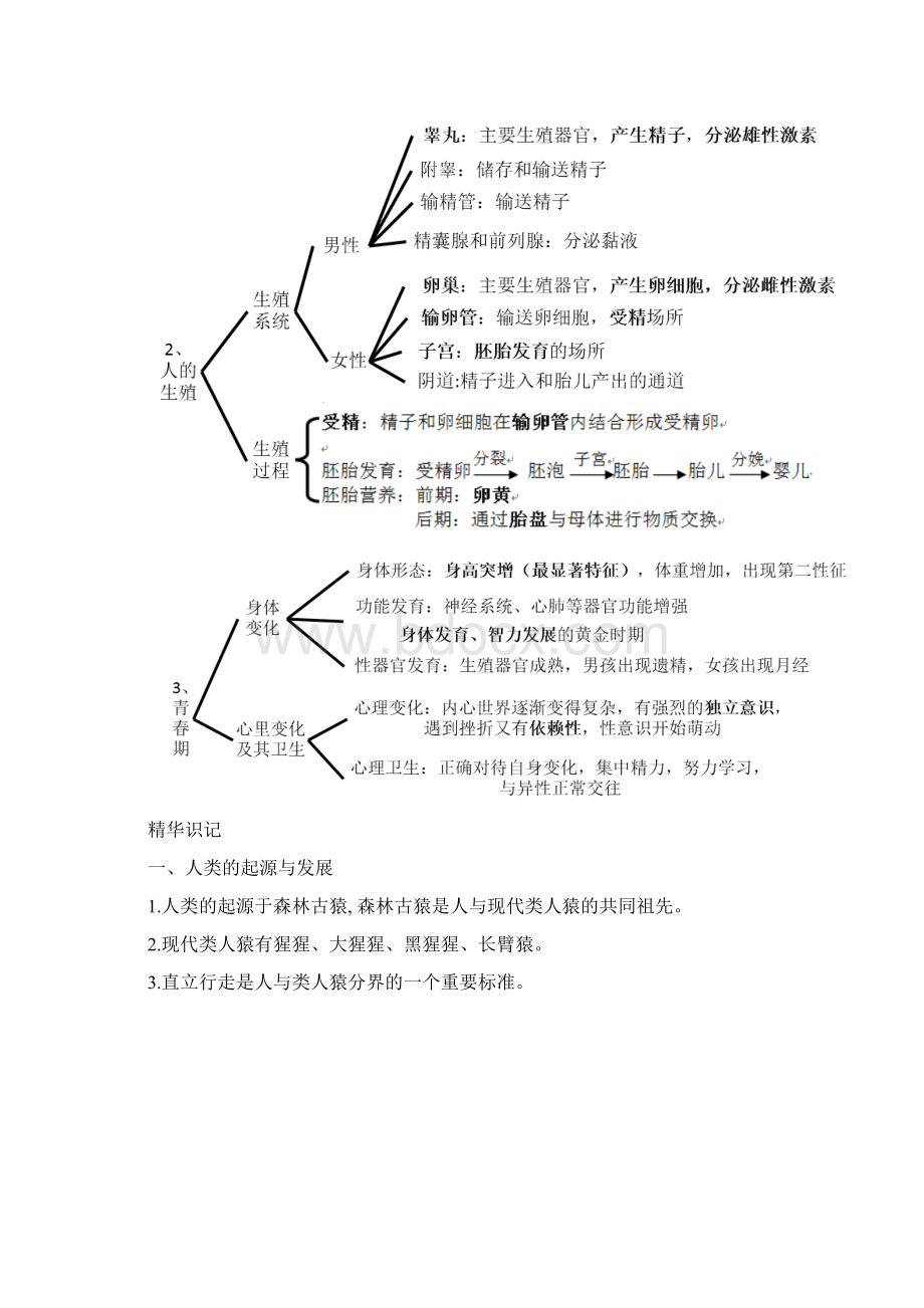 初一下册生物每章思维导图+精华知识1Word下载.docx_第2页