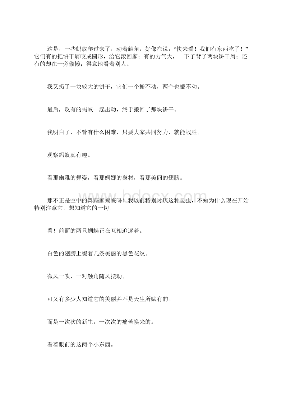 求一篇关于观察的作文500字范文.docx_第2页