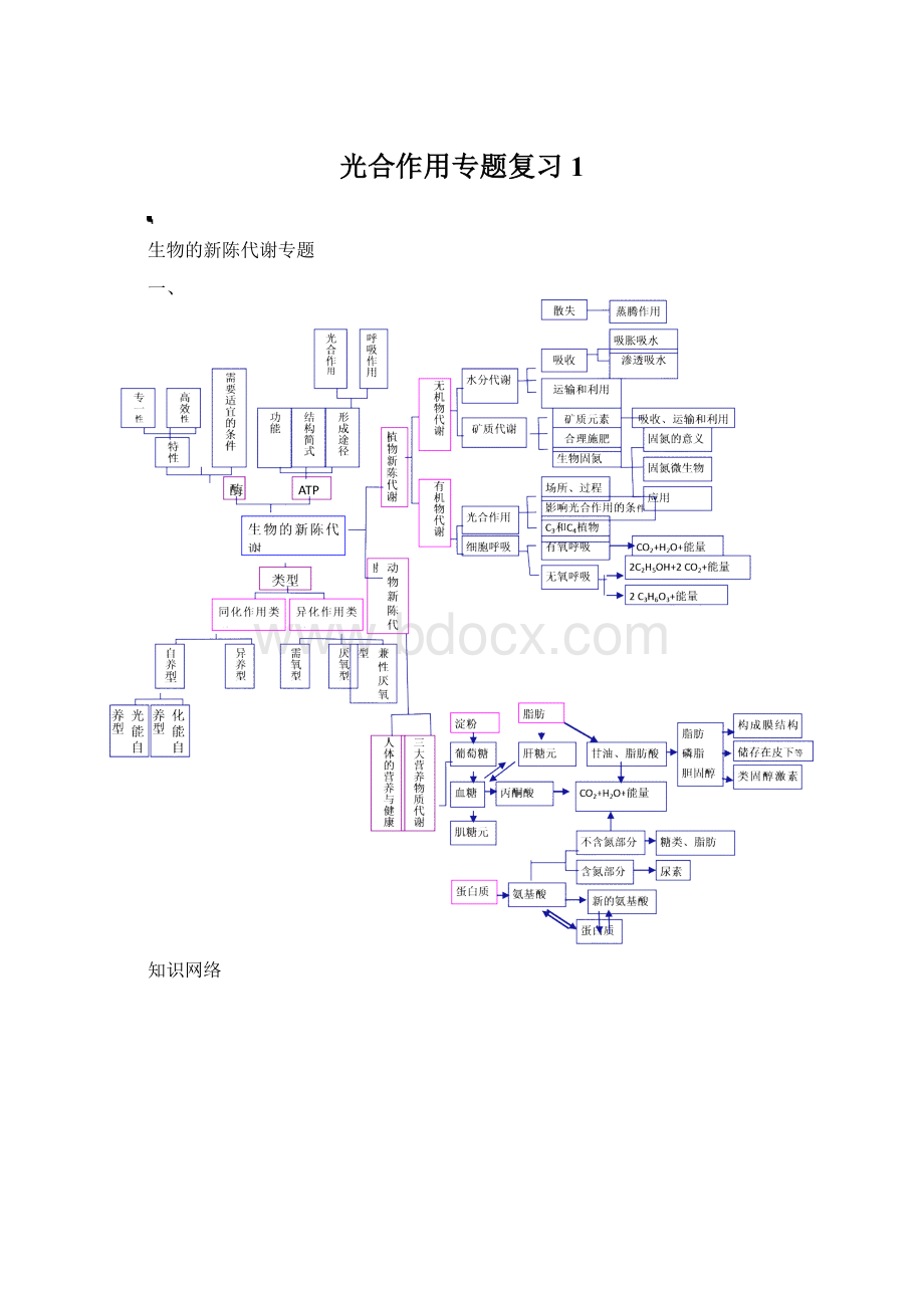 光合作用专题复习1.docx_第1页