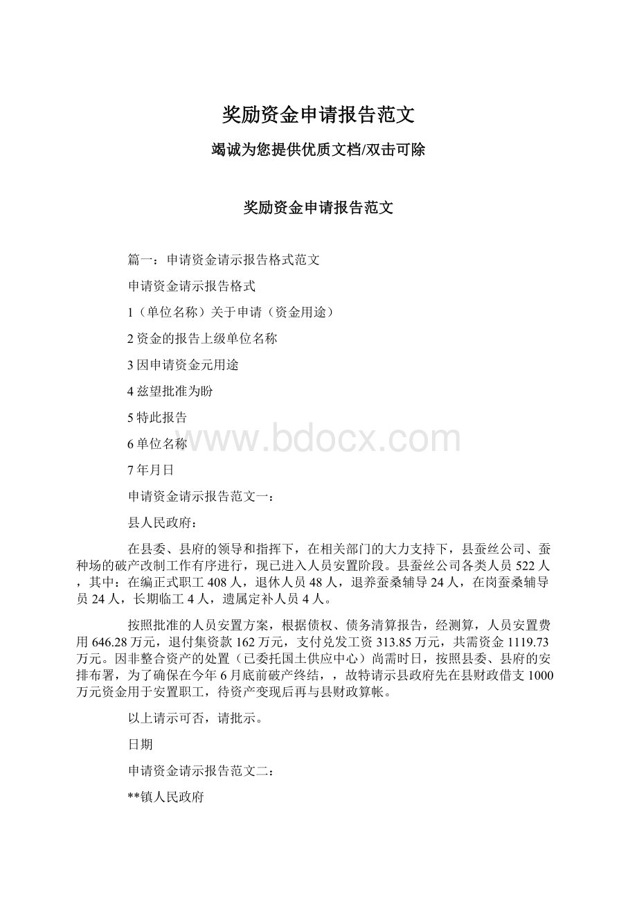 奖励资金申请报告范文Word格式.docx