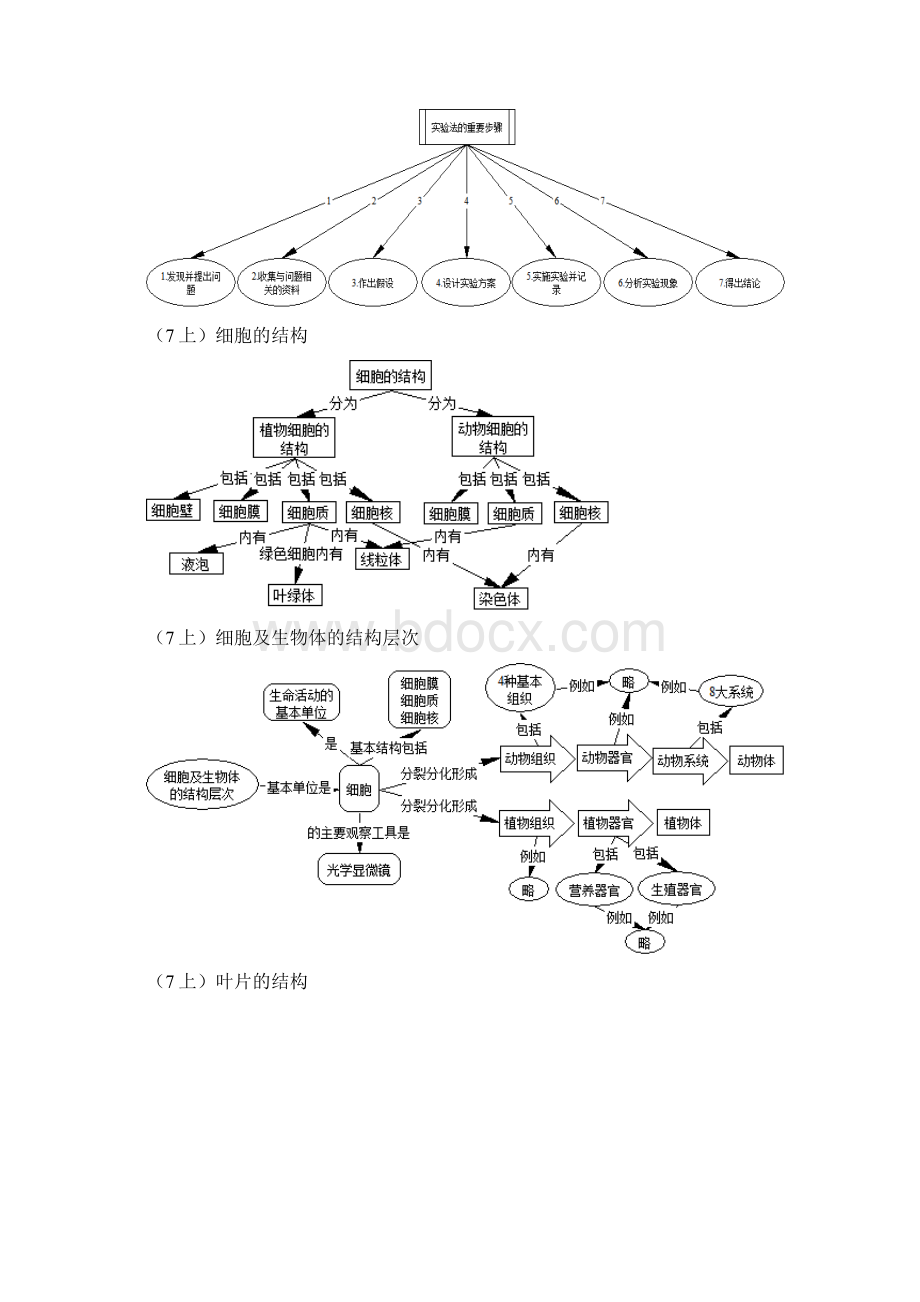 概念图举例.docx_第2页