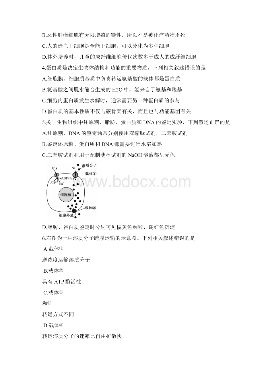 江苏生物高考试题Word格式.docx_第2页