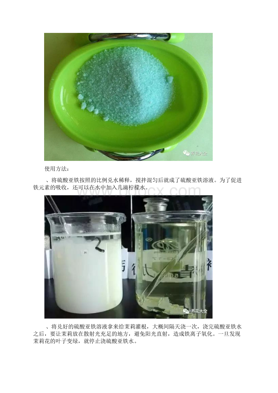 浇水加2滴这东西3天黄叶变绿叶养花技巧Word文档下载推荐.docx_第3页