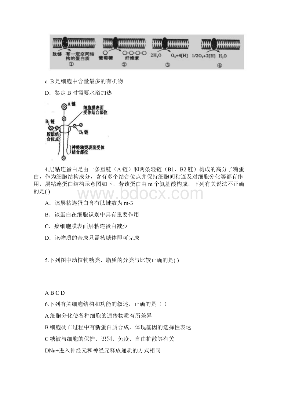 届新疆兵团农二师华山中学高三上学期学前考试生物试题及答案Word文档下载推荐.docx_第2页