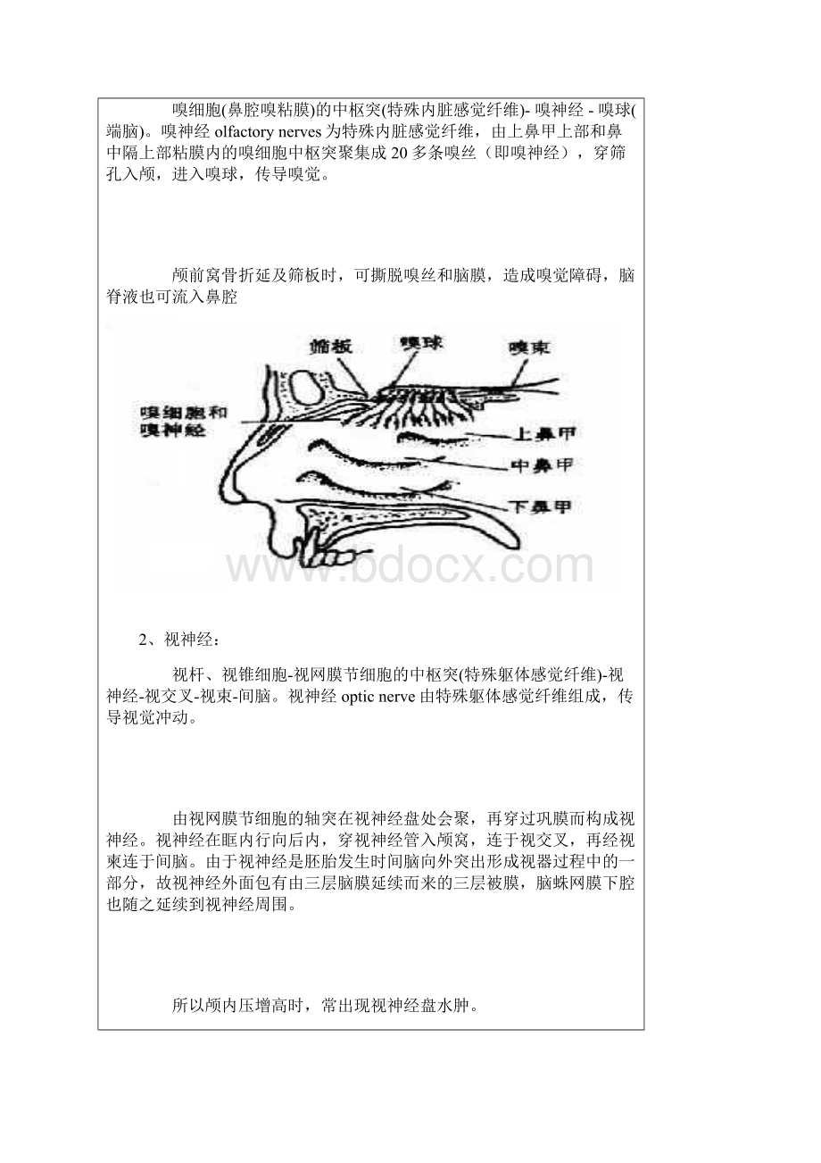 十二对脑神经附图.docx_第2页