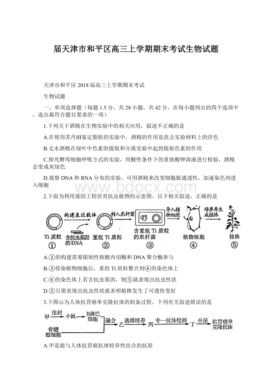 届天津市和平区高三上学期期末考试生物试题.docx_第1页