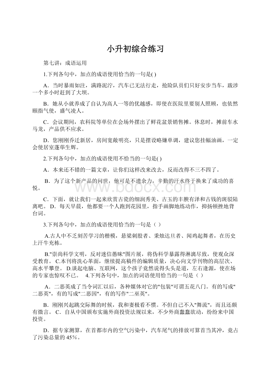 小升初综合练习Word文件下载.docx