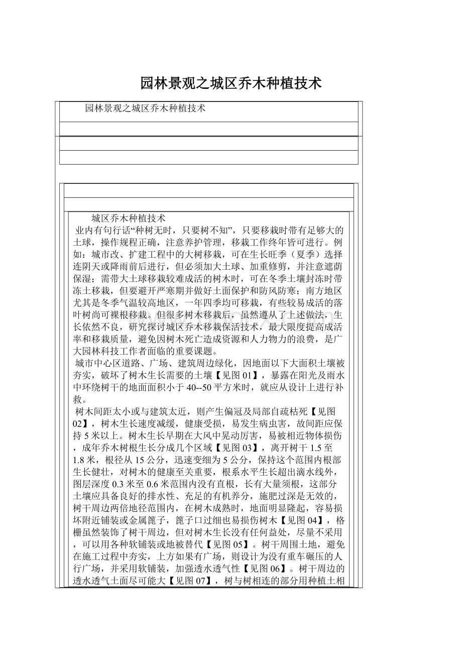 园林景观之城区乔木种植技术Word格式.docx