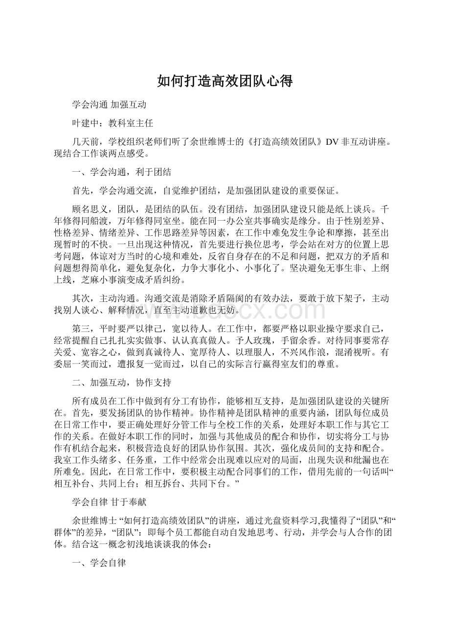 如何打造高效团队心得文档格式.docx