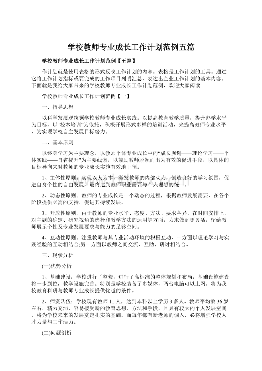 学校教师专业成长工作计划范例五篇.docx