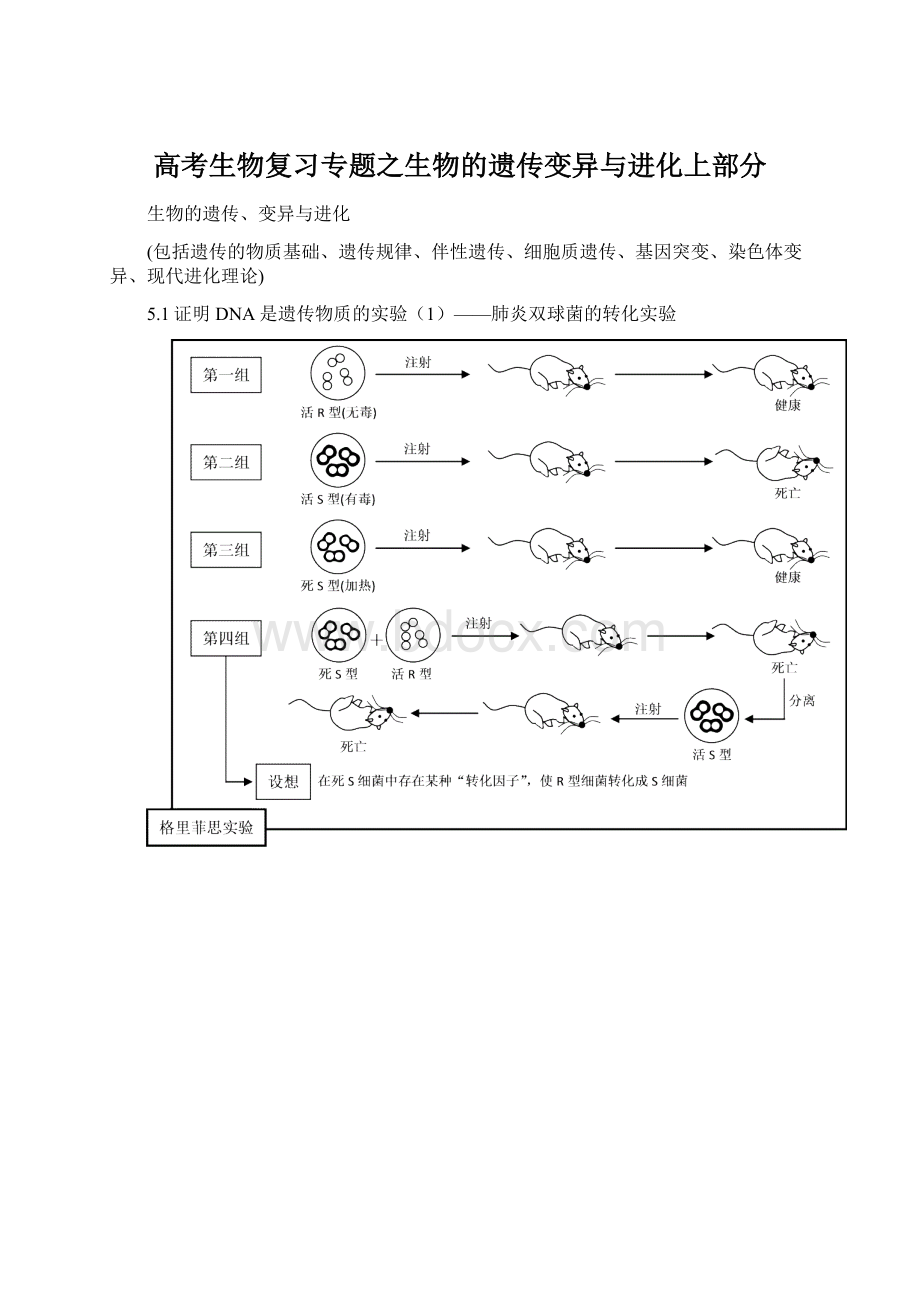 高考生物复习专题之生物的遗传变异与进化上部分文档格式.docx_第1页