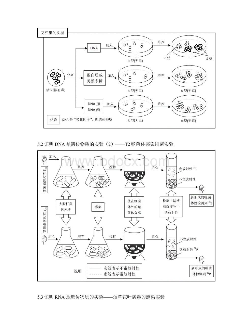 高考生物复习专题之生物的遗传变异与进化上部分文档格式.docx_第2页