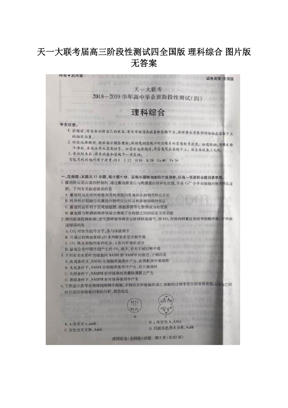 天一大联考届高三阶段性测试四全国版 理科综合 图片版无答案Word文件下载.docx_第1页