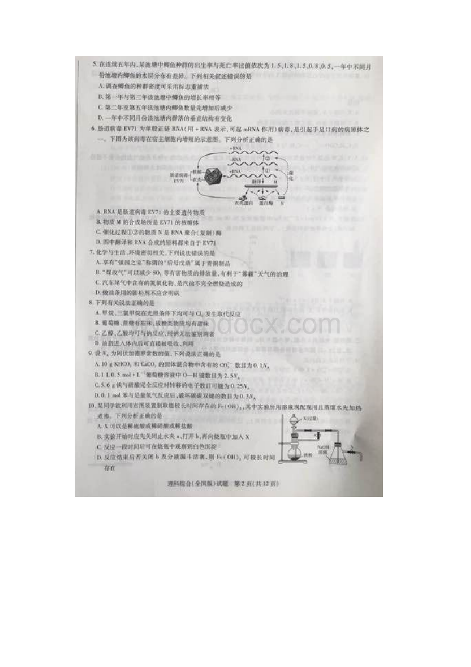 天一大联考届高三阶段性测试四全国版 理科综合 图片版无答案Word文件下载.docx_第2页