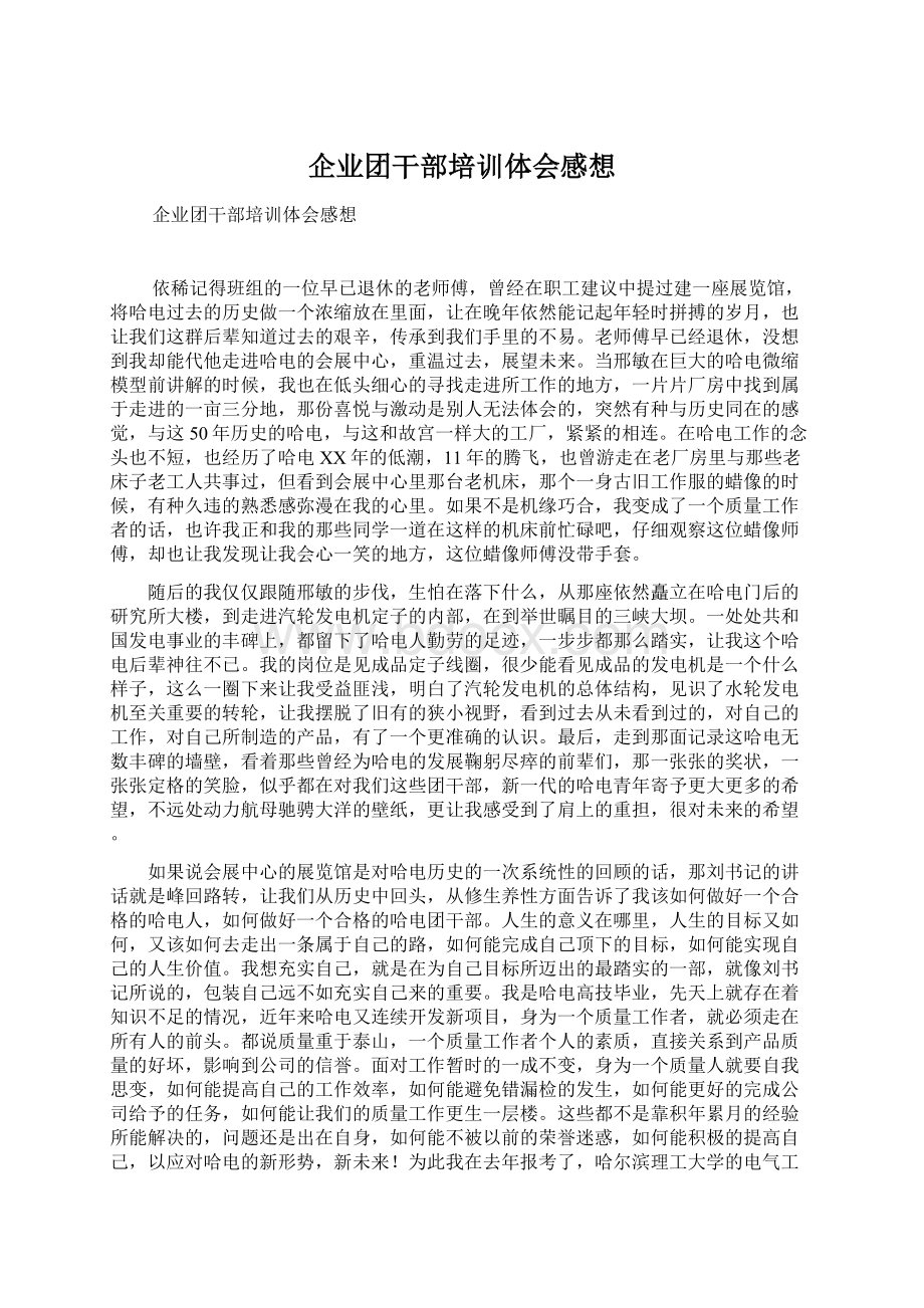 企业团干部培训体会感想.docx