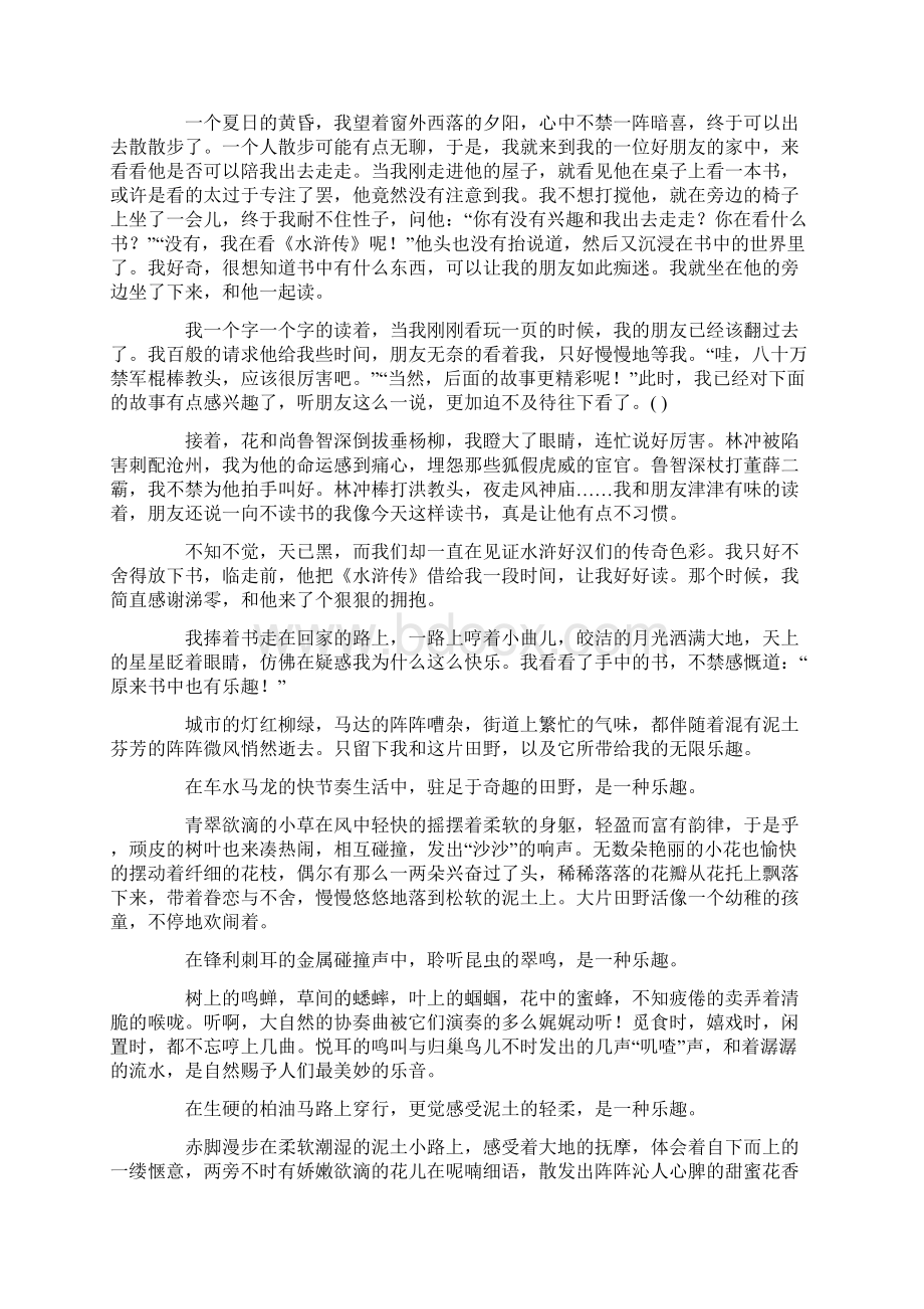 作文 这里也有乐趣.docx_第2页