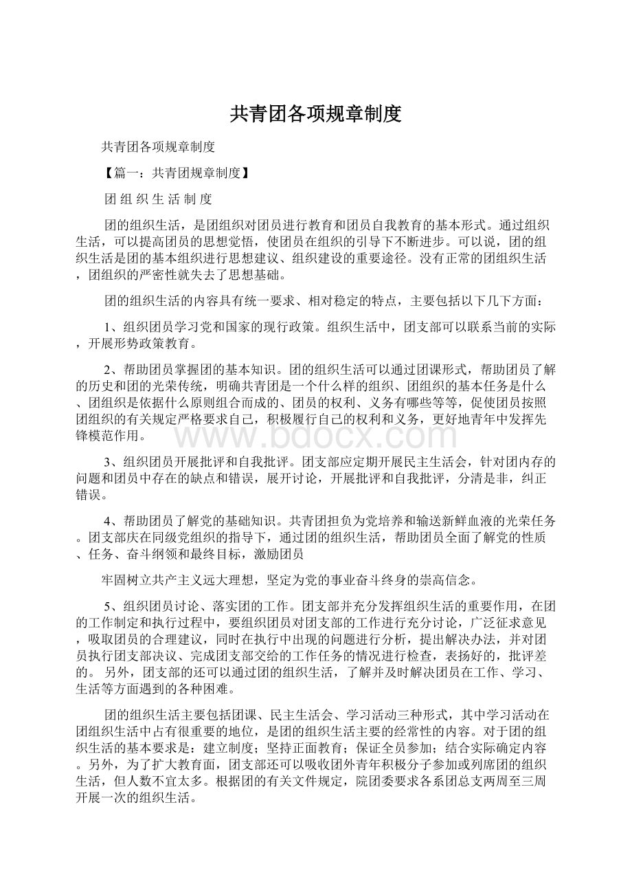 共青团各项规章制度Word文件下载.docx