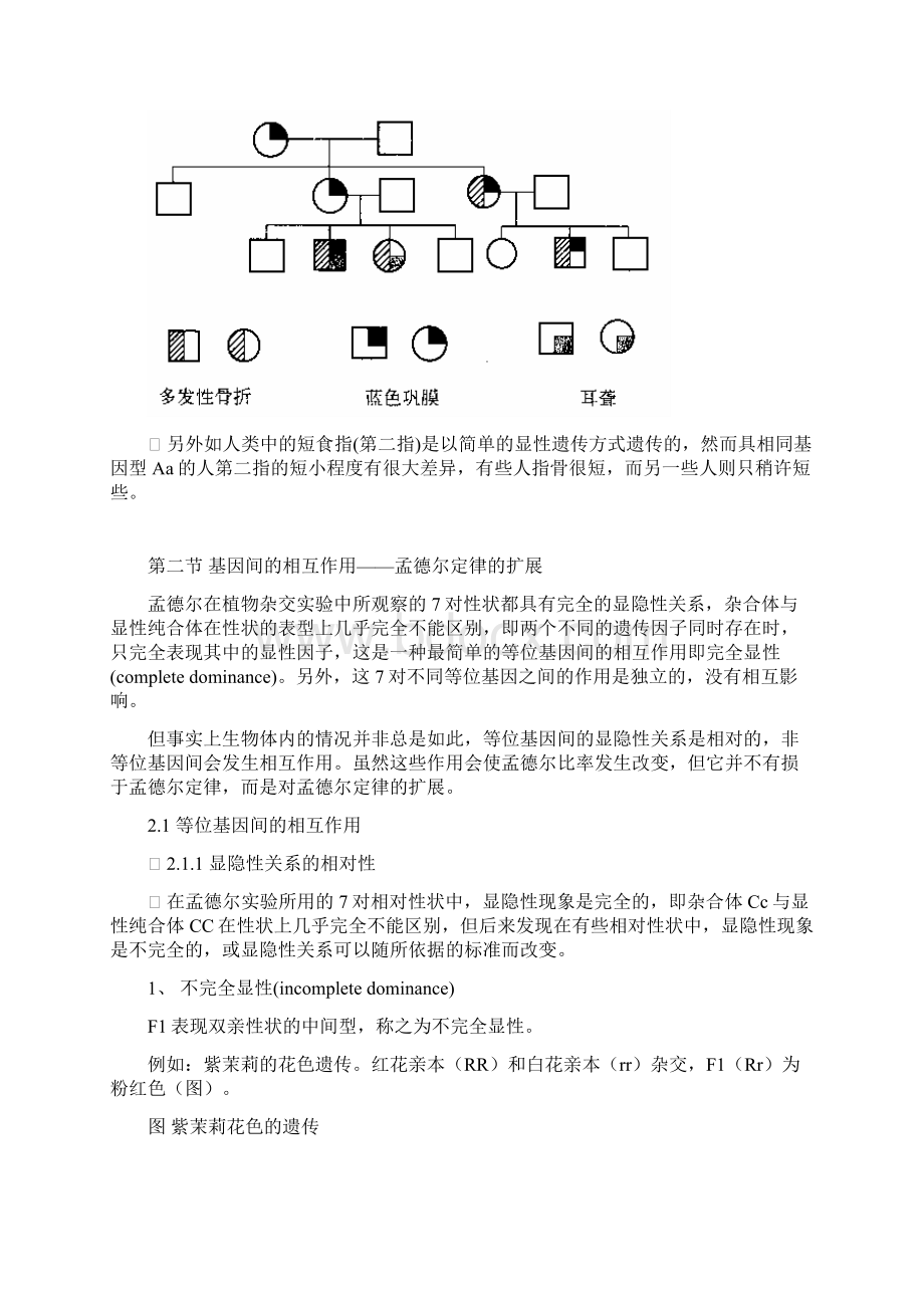 中国药科大学遗传学第4讲 基因的作用及其与环境的关系.docx_第3页