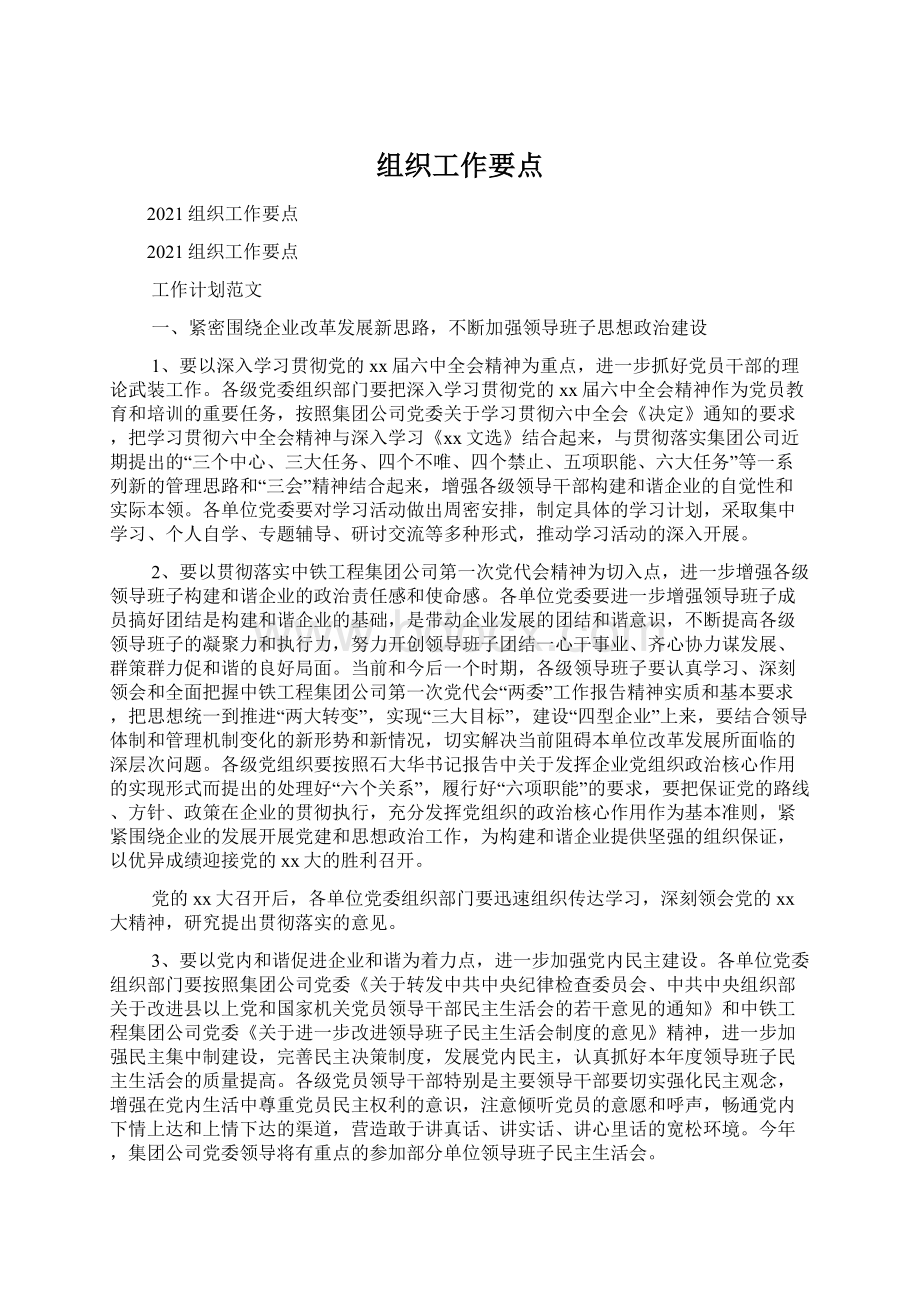 组织工作要点.docx