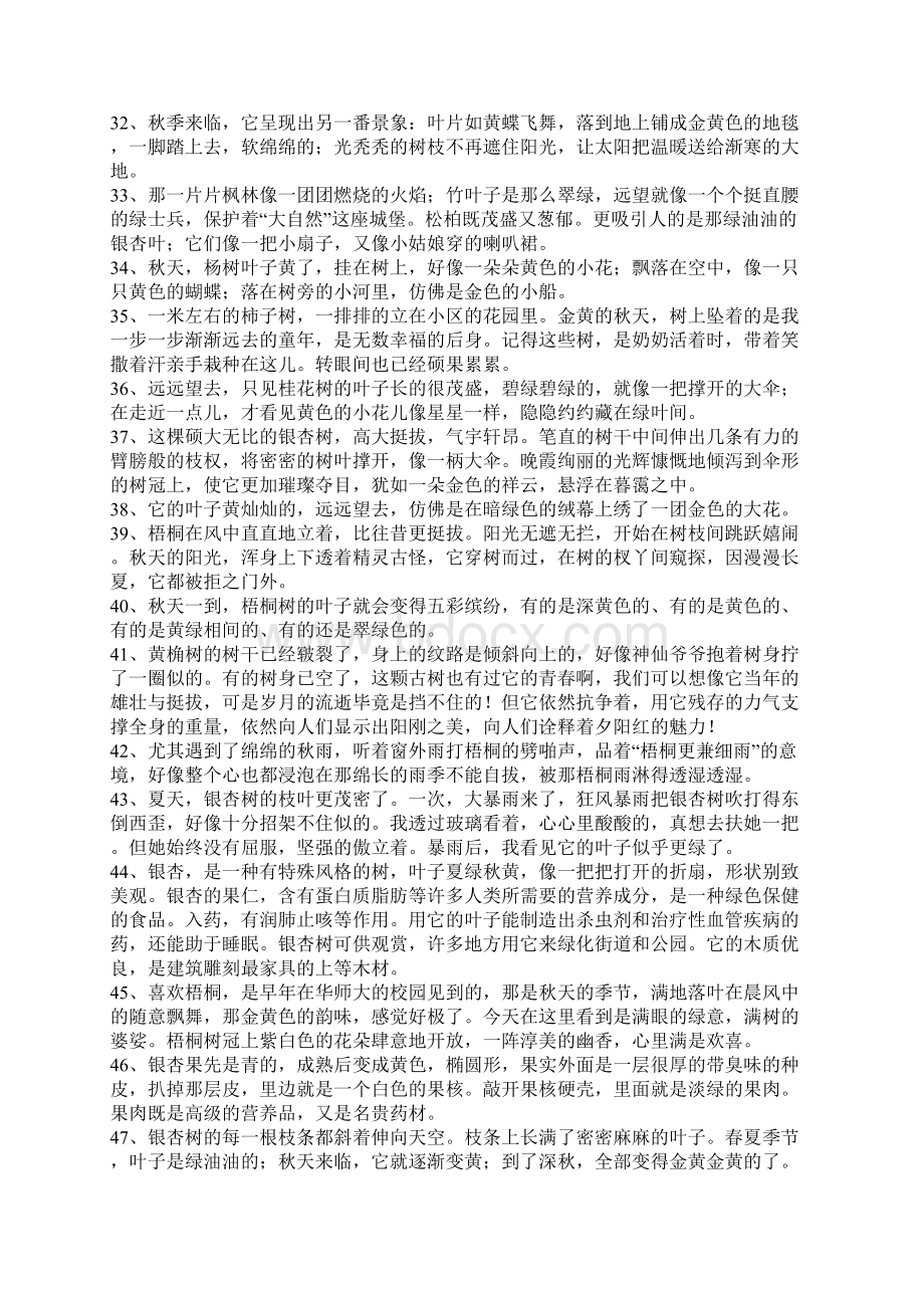 秋天的树句子Word文件下载.docx_第3页