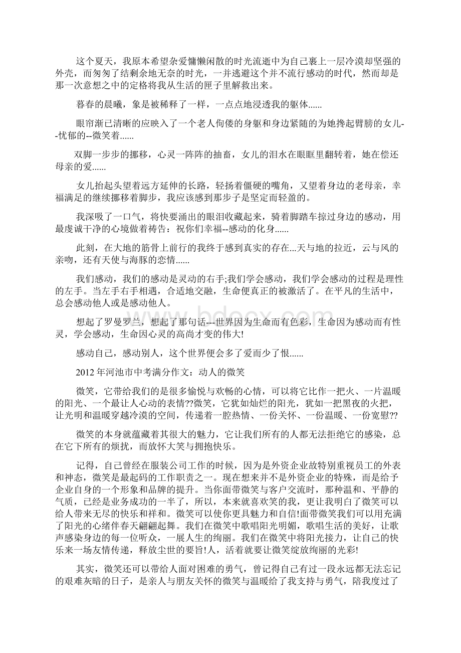 中考作文之我心中的英雄中考满分作文Word格式文档下载.docx_第2页