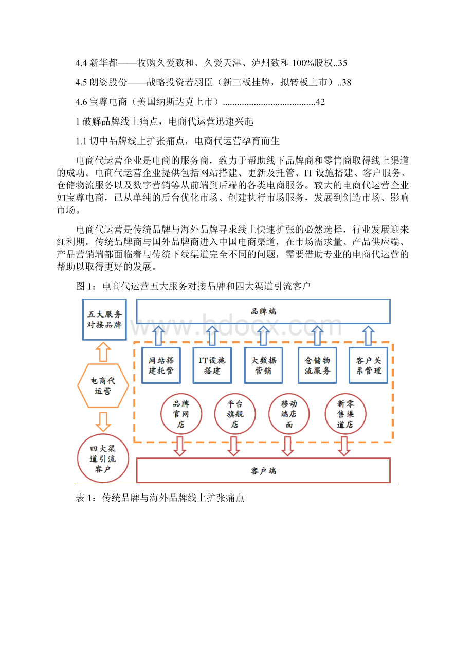 电商代运营行业分析报告.docx_第2页