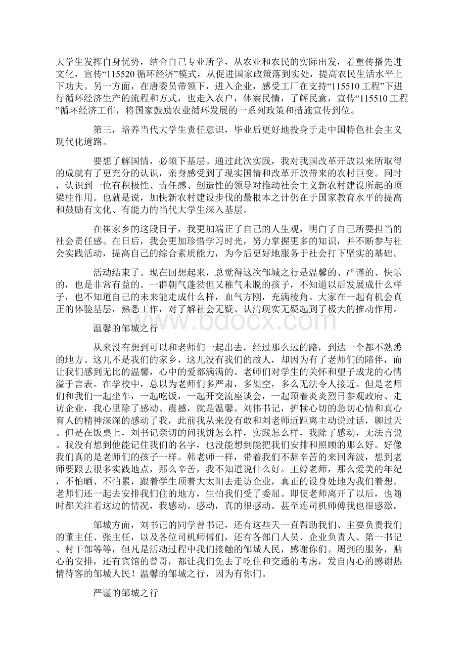 暑期大学生基层挂职社会实践报告精选多篇.docx_第3页