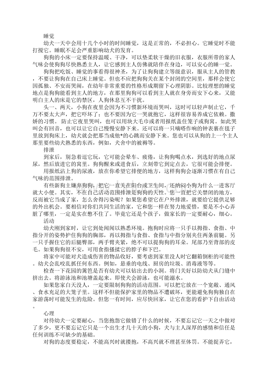 给狗狗新家长Word文件下载.docx_第2页