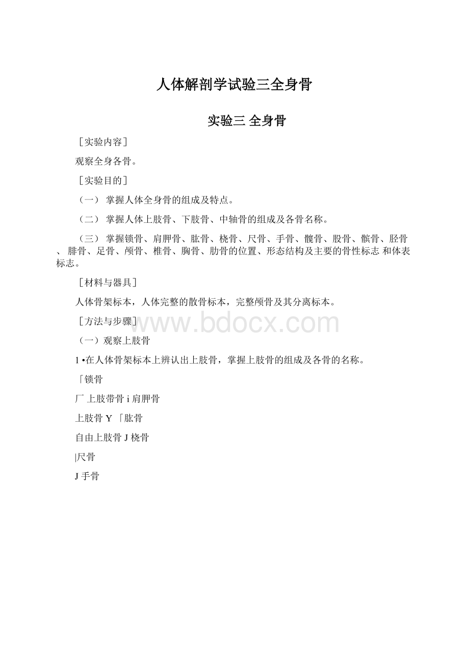 人体解剖学试验三全身骨Word文档格式.docx