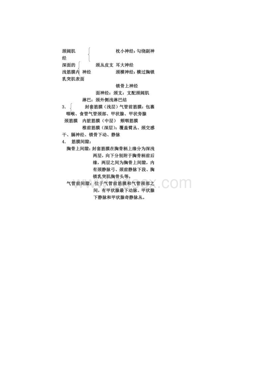 局部解剖学重点总结.docx_第3页