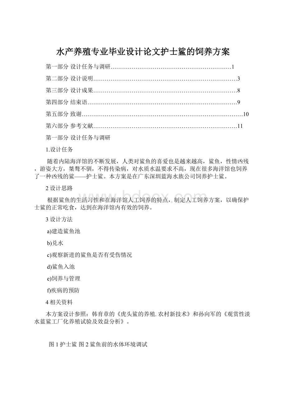 水产养殖专业毕业设计论文护士鲨的饲养方案Word下载.docx_第1页