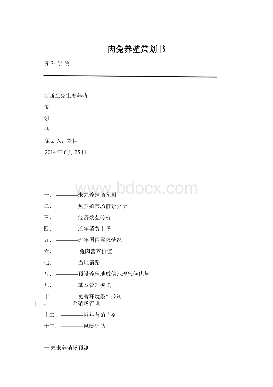 肉兔养殖策划书Word格式文档下载.docx_第1页