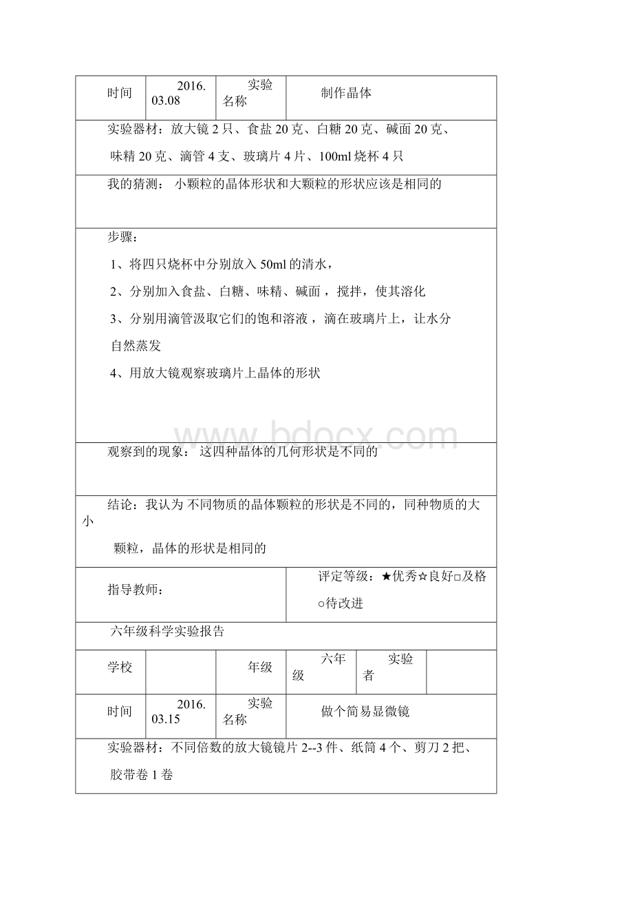 教科版六年级科学下册实验报告单全Word文档下载推荐.docx_第3页