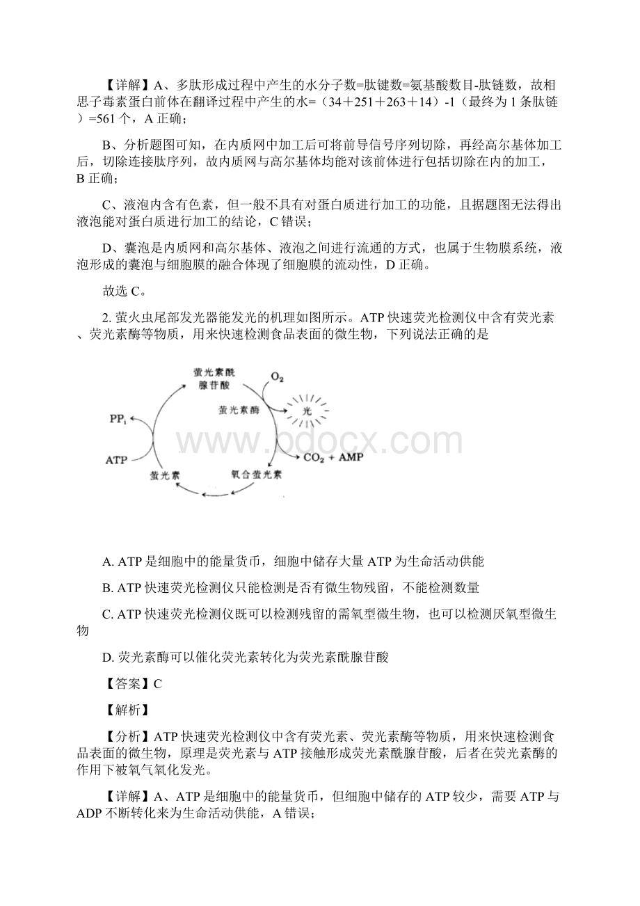 届山东省济南市山东实验中学高三一模生物试题解析版.docx_第2页