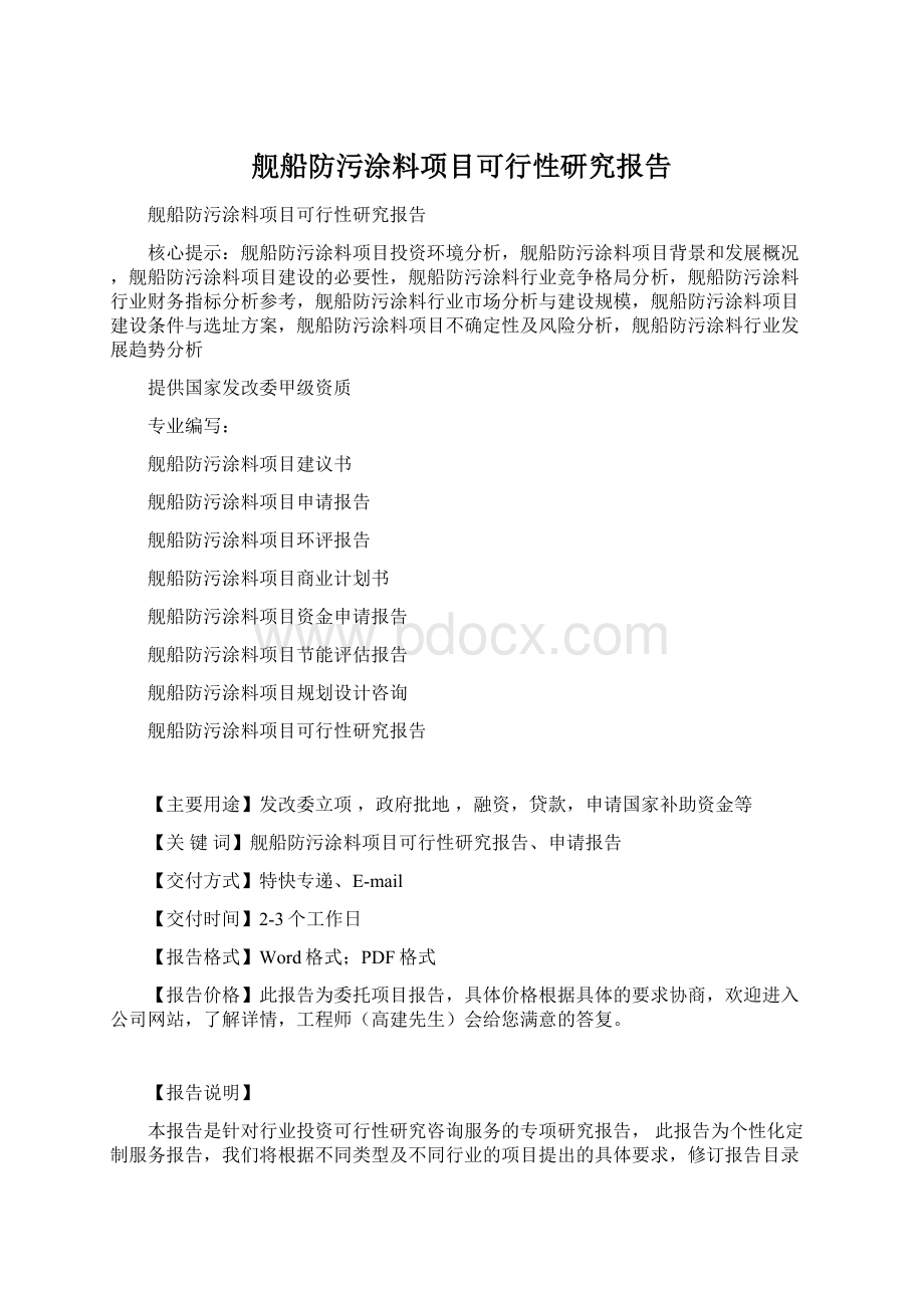 舰船防污涂料项目可行性研究报告.docx