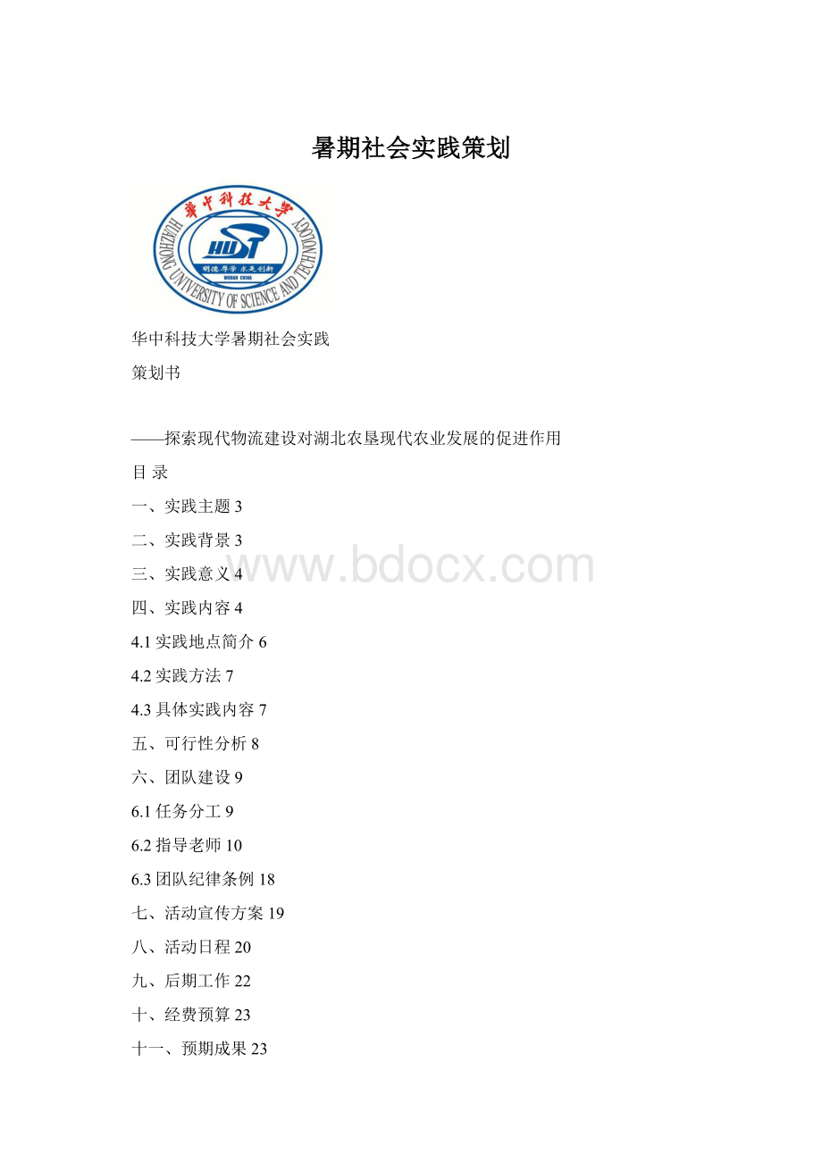 暑期社会实践策划Word文档格式.docx