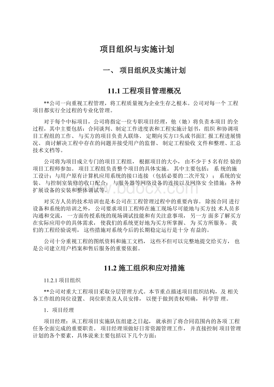 项目组织与实施计划.docx