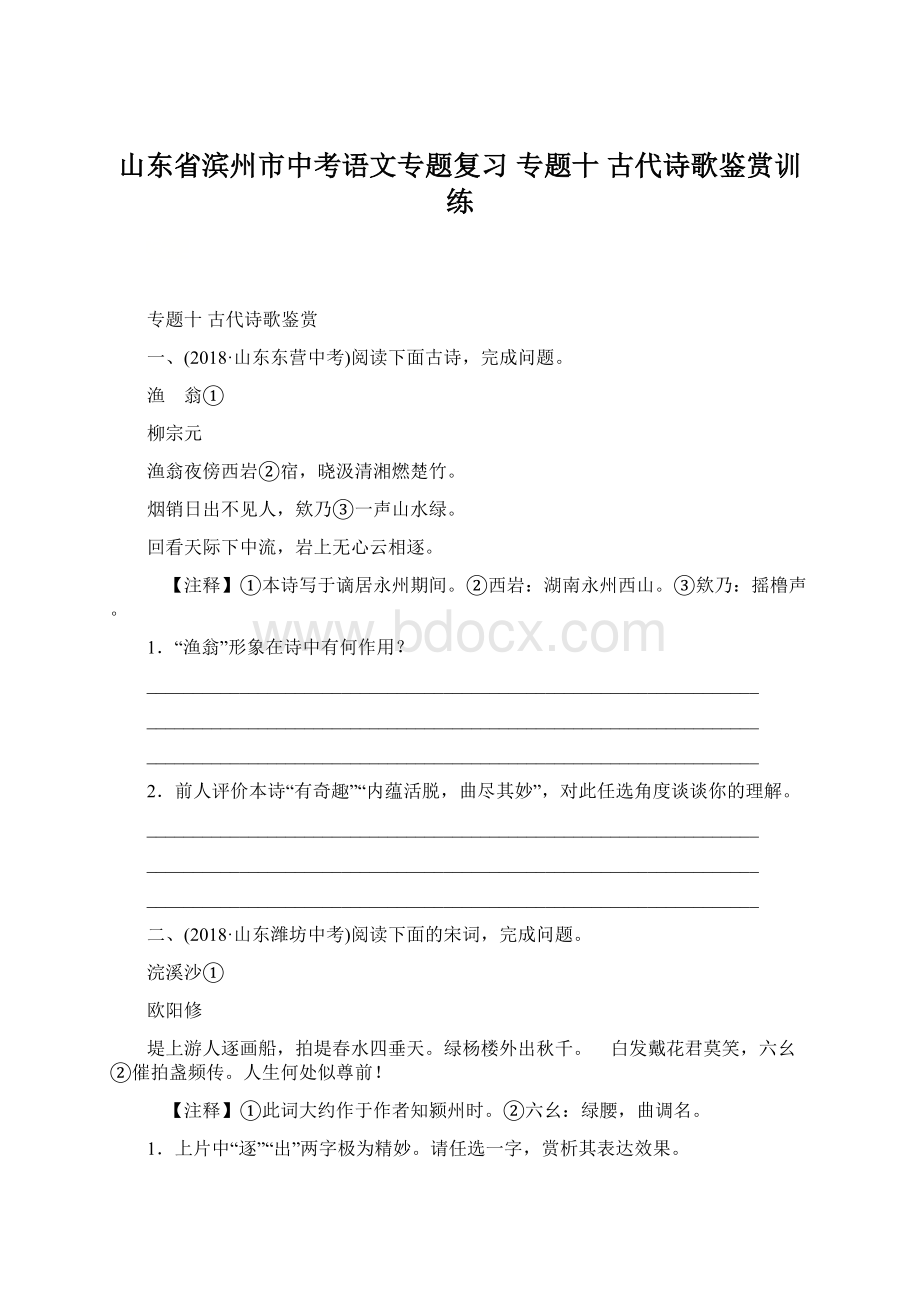 山东省滨州市中考语文专题复习 专题十 古代诗歌鉴赏训练.docx