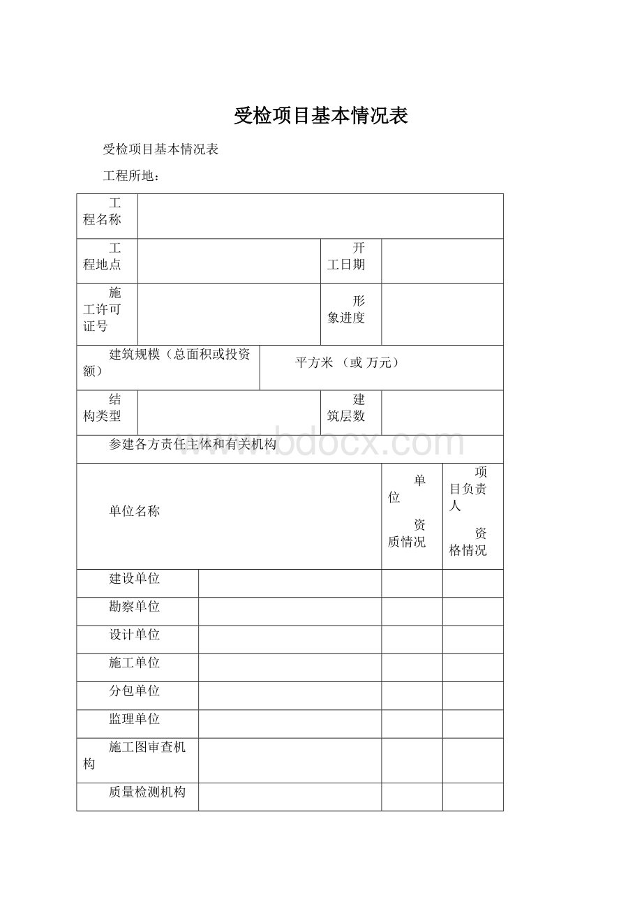 受检项目基本情况表文档格式.docx