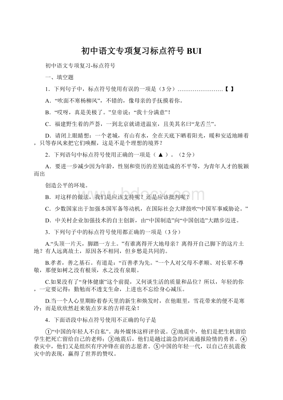 初中语文专项复习标点符号BUI.docx
