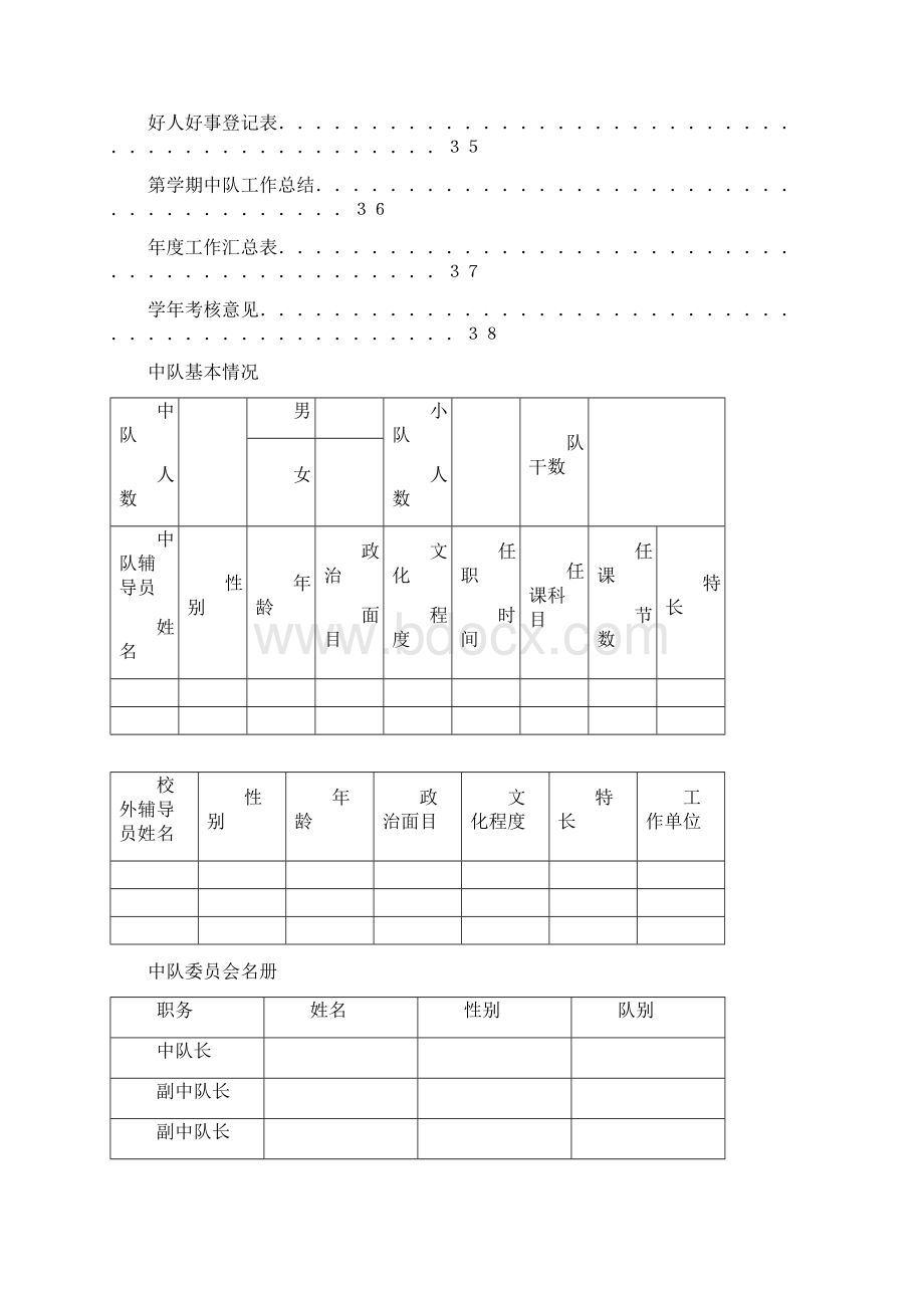 工作规范少先大队部工作手册.docx_第2页