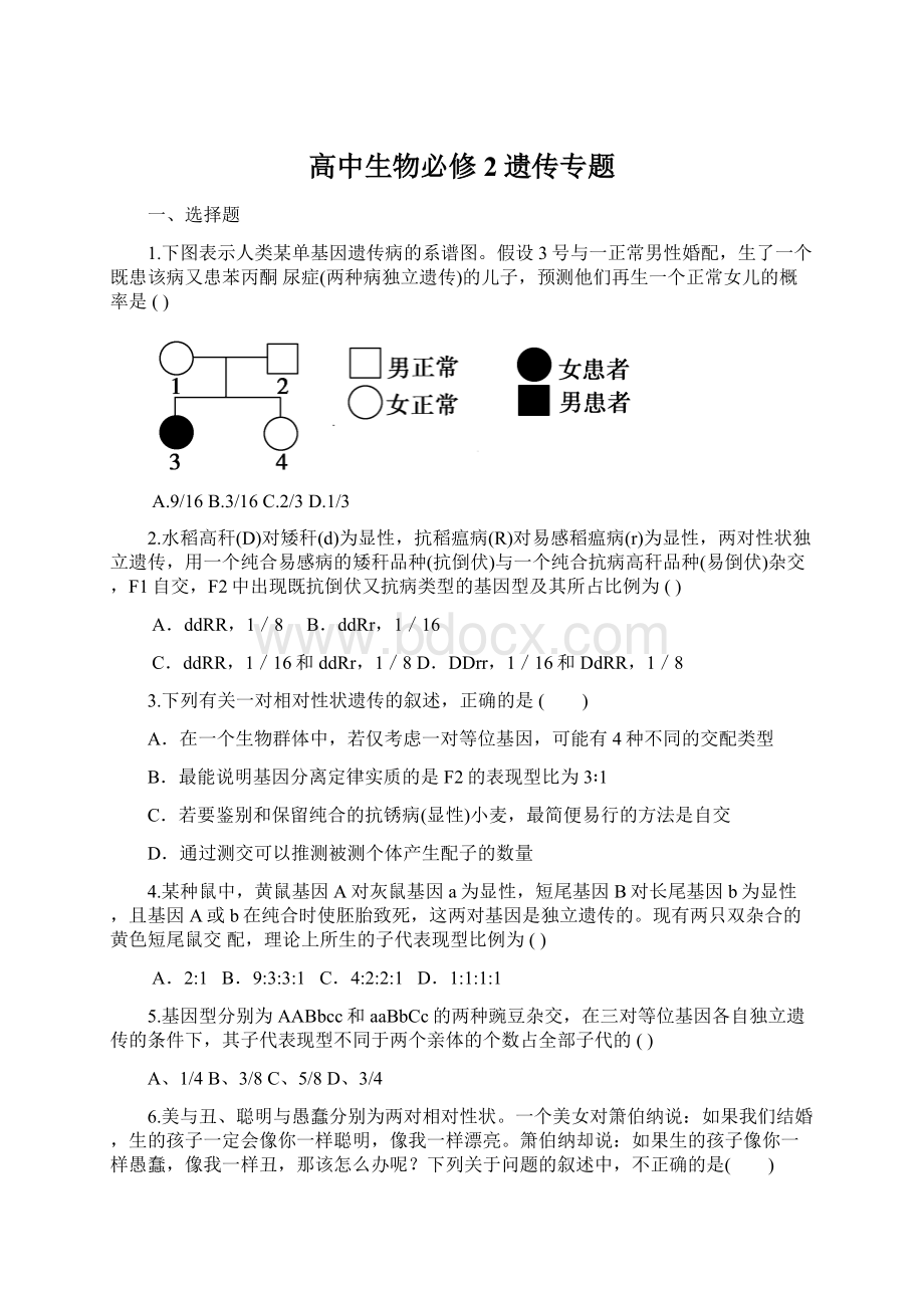 高中生物必修2遗传专题Word格式.docx