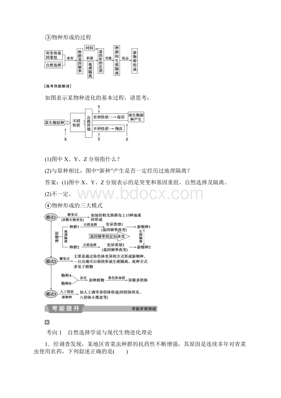 届高考生物一轮复习第七单元生物的变异育种和进化第24讲现代生物进化理论学案Word文档下载推荐.docx_第3页