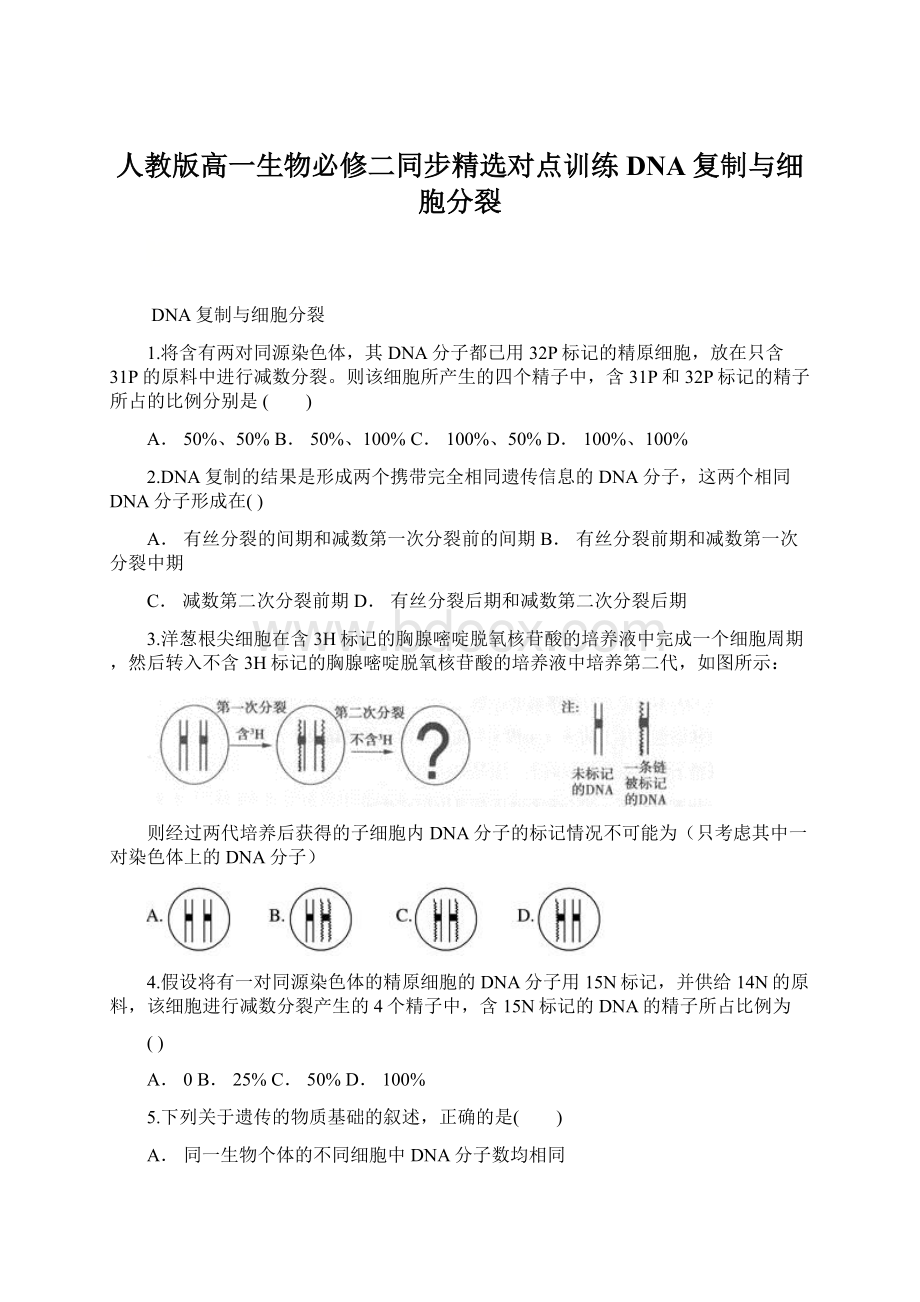 人教版高一生物必修二同步精选对点训练DNA复制与细胞分裂.docx