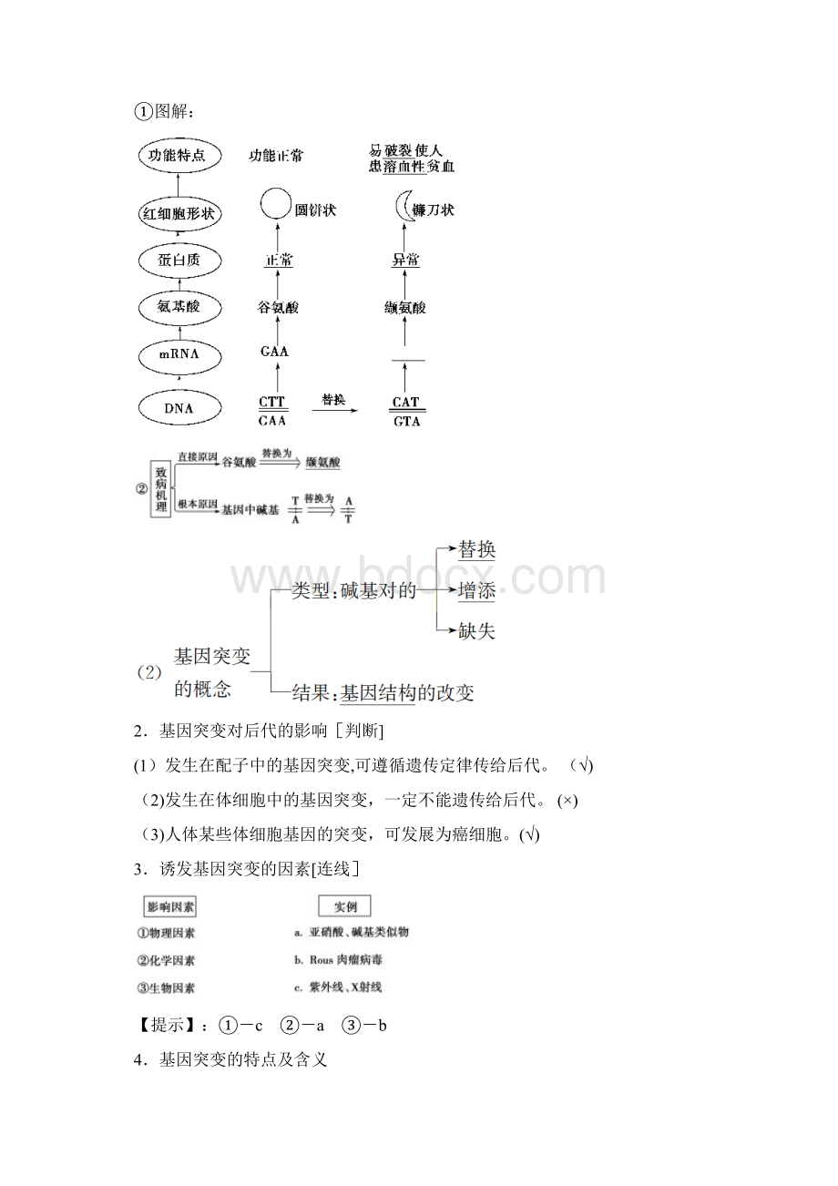 高中生物第五章基因突变及其他变异第1节基因突变和基因重组学案新人教版必修2整理.docx_第2页