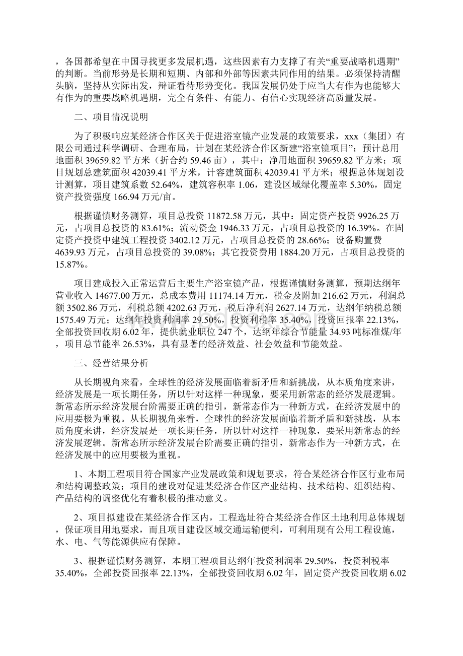 浴室镜项目经营分析报告项目总结分析.docx_第2页