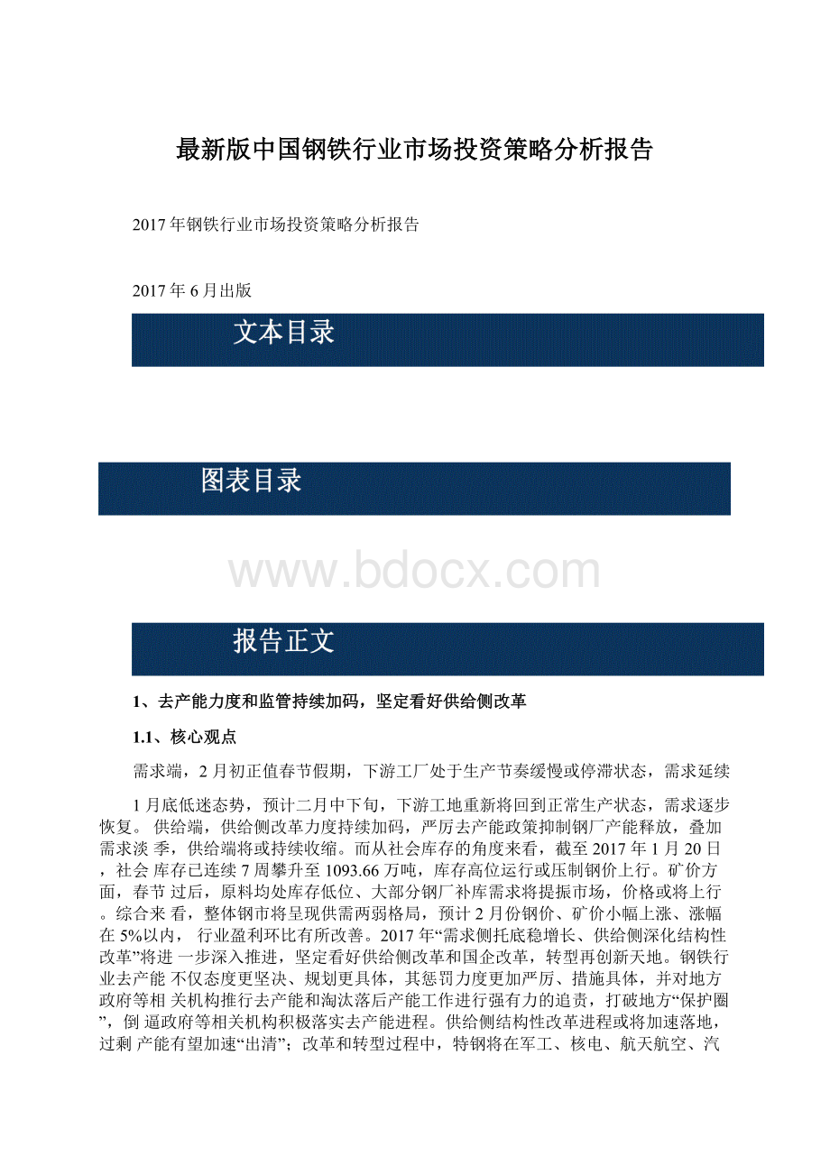 最新版中国钢铁行业市场投资策略分析报告.docx